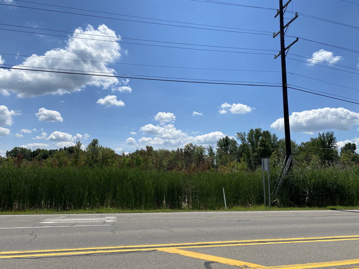 Lakeland - July 2020 (newer photo)